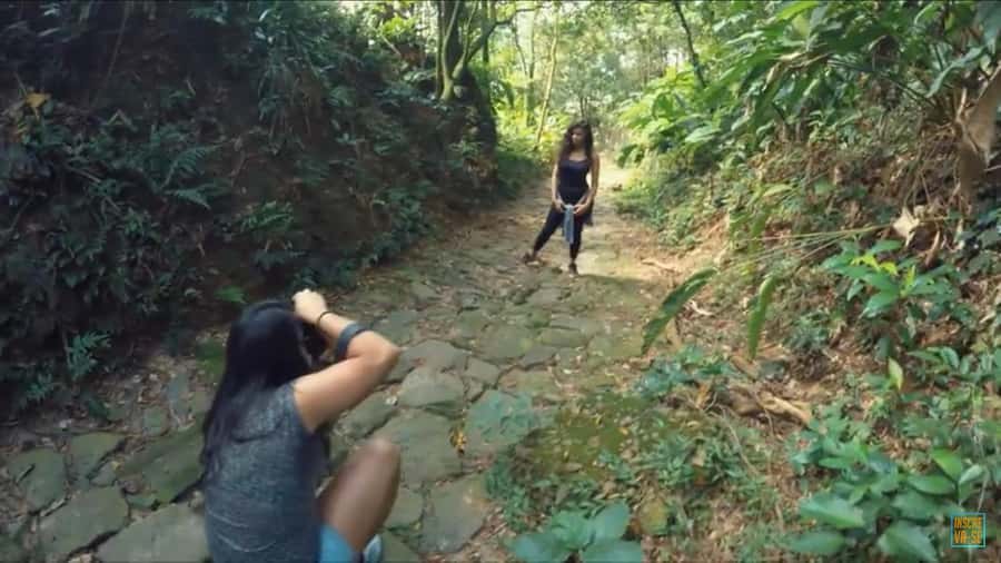 From São Paulo: Private Tour of Atlantic Forest & Valleys - Is $333 per person good value?