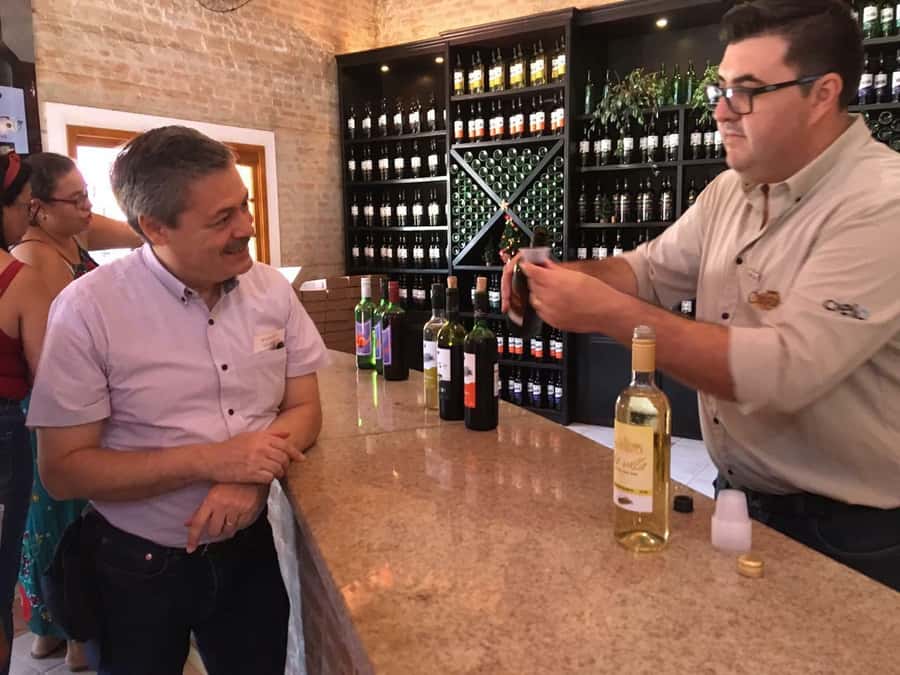 From São Paulo: São Roque Wineries Route and Tasting of Wine - The first winery tasting