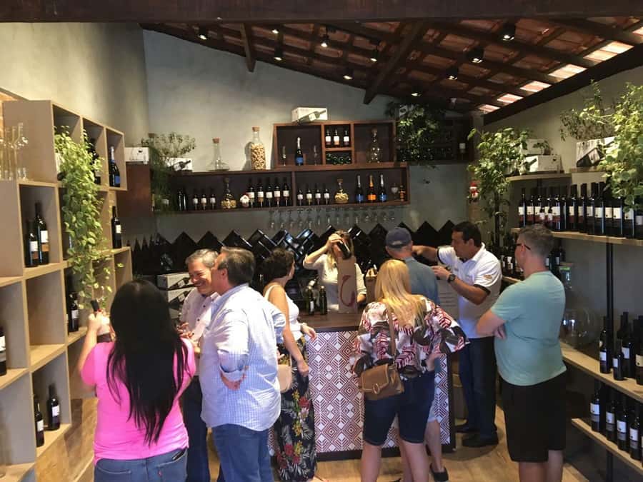 From São Paulo: São Roque Wineries Route and Tasting of Wine - Canguera and Frank: variety over certainty