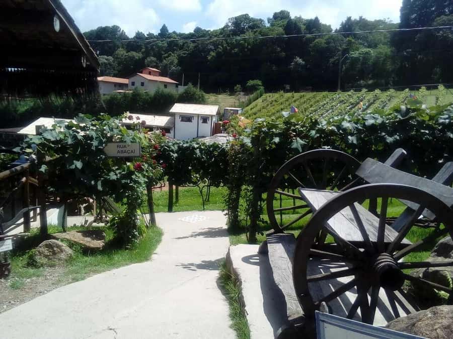 From São Paulo: São Roque Wineries Route and Tasting of Wine - Local food, cachaça, and the pleasure of browsing