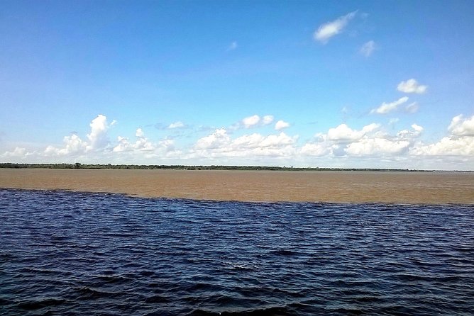 Full Day Amazon River Experience with Night Boat Tour - Night search for Amazonian alligators