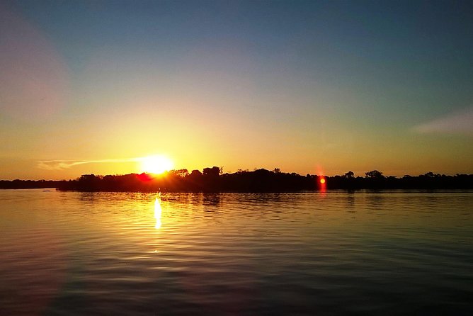 Full Day Amazon River Experience with Night Boat Tour - Tributaries and flooded forest from February through August