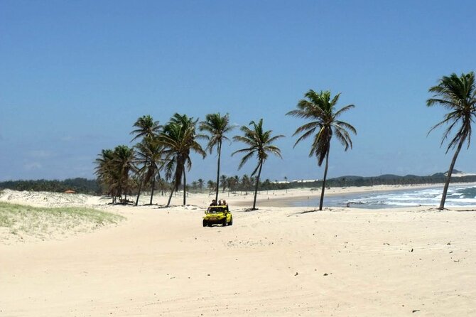 Full Day Beach Tour In Cumbuco - Who will enjoy this day most?