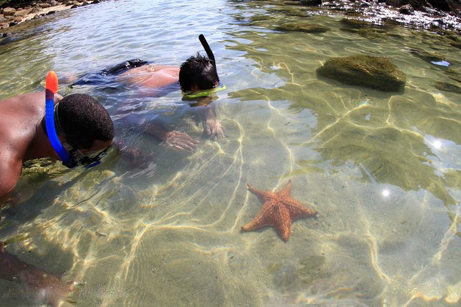 Full-Day Ilha Grande Northern Coast Speedboat Tour - Key points to know before booking