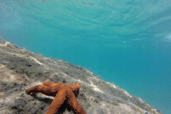 Full-Day Ilha Grande Northern Coast Speedboat Tour - What the $66.04 price really buys you