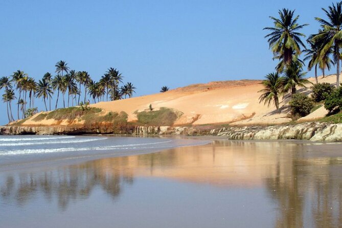 Full-Day Lagoinha Beach Tour from Fortaleza - Swimming Conditions and Beach Time