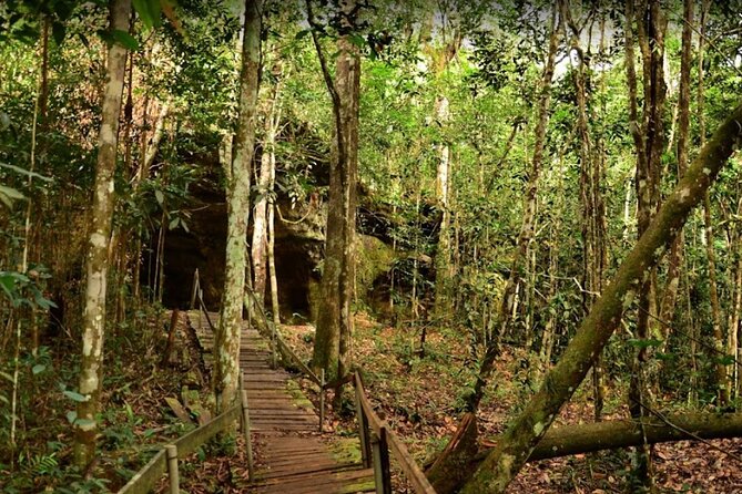 Full-Day Package Tour in Presidente Figueiredo - The road north from Manaus