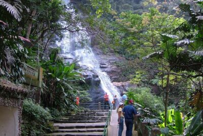 Full Day Tour in Rio: Corcovado, Selaron Steps and Park Lage