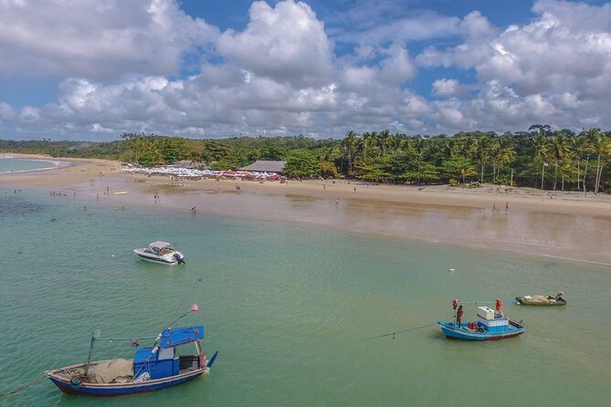 Full Day Tour in Trancoso with Chocolate Factory - Is $24.50 a good price?