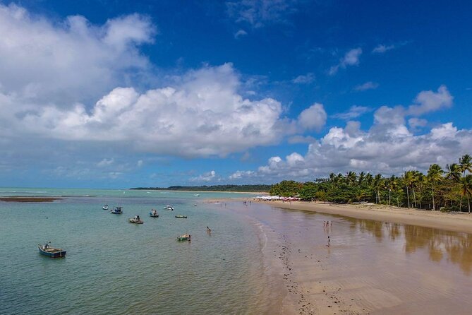 Full Day Tour in Trancoso with Chocolate Factory - Quadrado, Trancoso’s leafy village square
