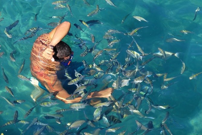 Full Day Tour to Angra dos Reis and Grand Island - Rio starts early, and Angra is far away