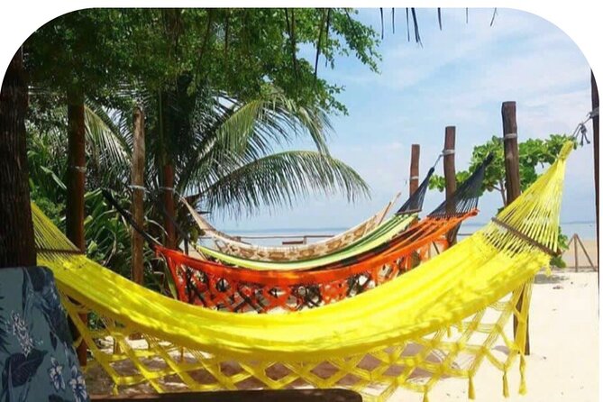 Full Day Tour to Frades Islands + Itaparica - Cancellation and weather details