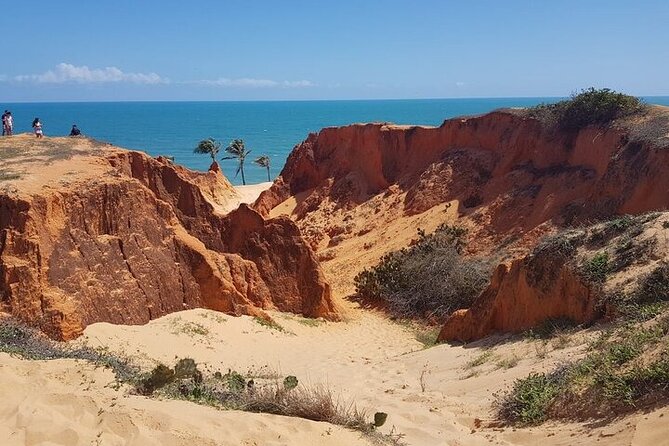 Full Day Tour to the Beaches of Ceará - Pickup, group size, and communication