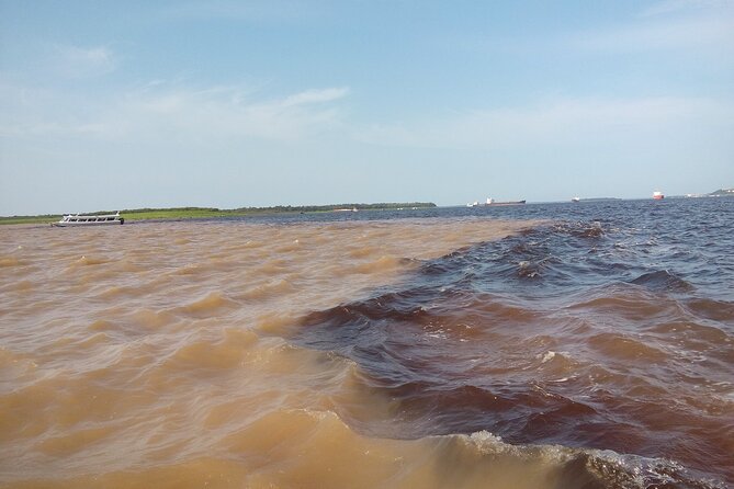 Full Day Trip of Amazon with Lunch - Swimming with pink river dolphins