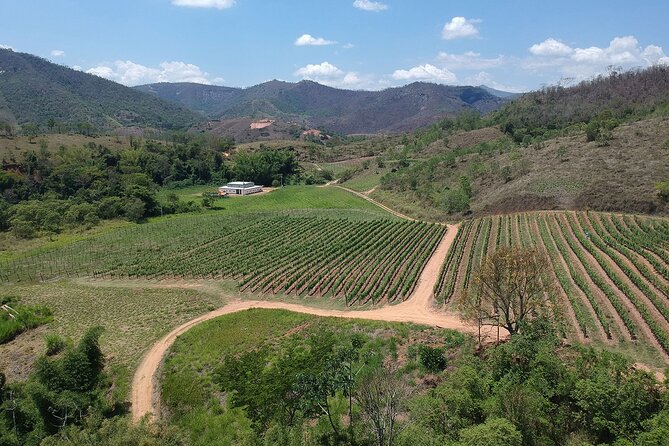 Full-Day Winery Tour from Rio - At the small winery in Paraíba do Sul