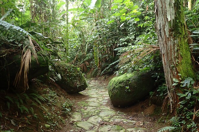 Gold Trail Atlantic Forest Walk - Cachoeira do Toboga and the natural rock slide