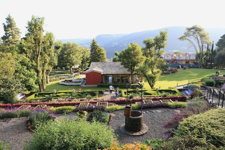 Gramado and Canela: Private Daytour from Porto Alegre - Chocolate shops and a typical regional lunch