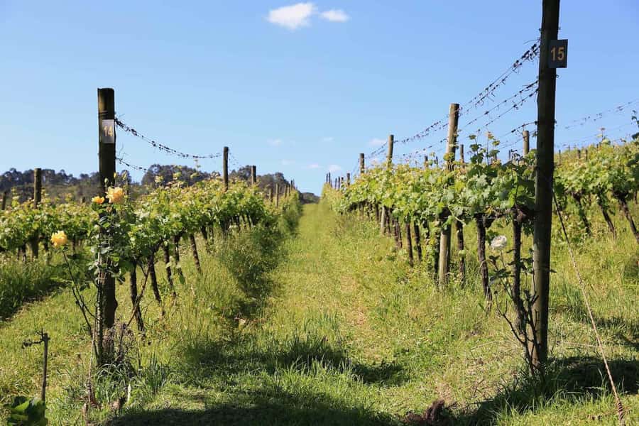 Gramado and Canela: Private Daytour from Porto Alegre - Is $301 good value for four people?