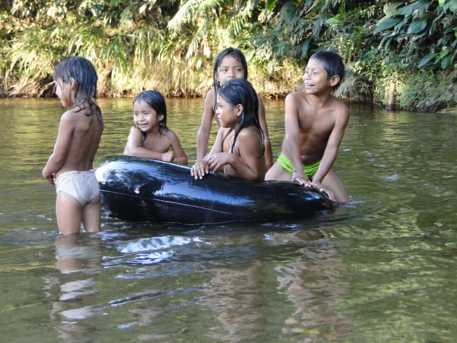 Grand Selva Tours 3 Day Jungle Expedition Ecuador all incl - The night walk and Paiche Arapaima lagoon