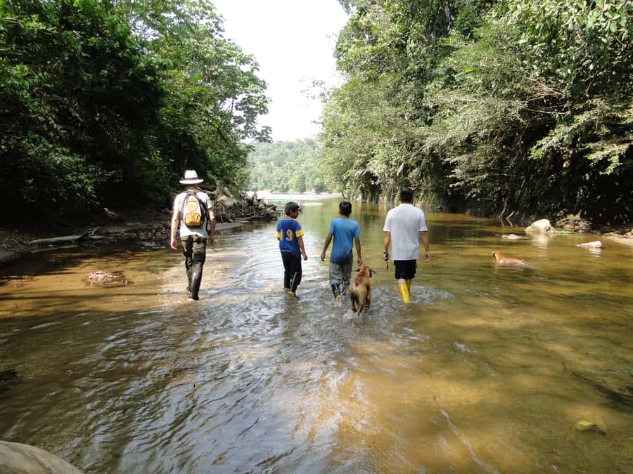 Grand Selva Tours 3 Day Jungle Expedition Ecuador all incl - Cacao, fruit, and a chocolate face mask