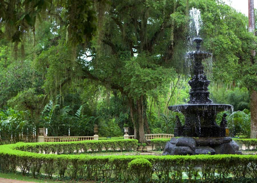 Green Rio: Guided Tour of Botanical Garden and Lage Park - Why this half-day tour works in Rio