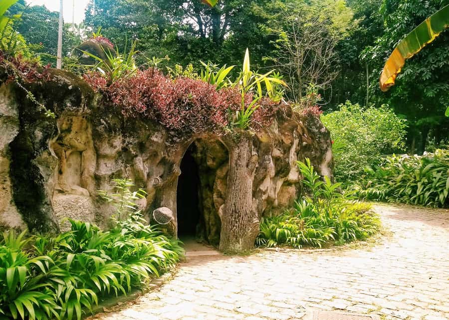 Green Rio: Guided Tour of Botanical Garden and Lage Park - The Botanical Garden, where royal palms set the pace