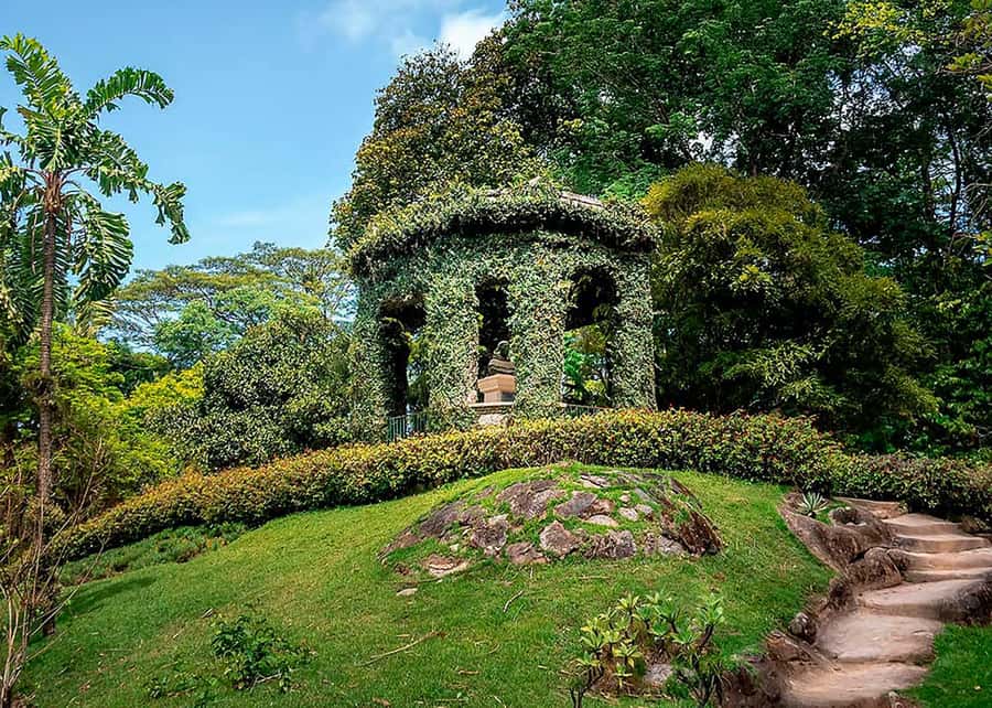 Green Rio: Guided Tour of Botanical Garden and Lage Park - Who will enjoy this most