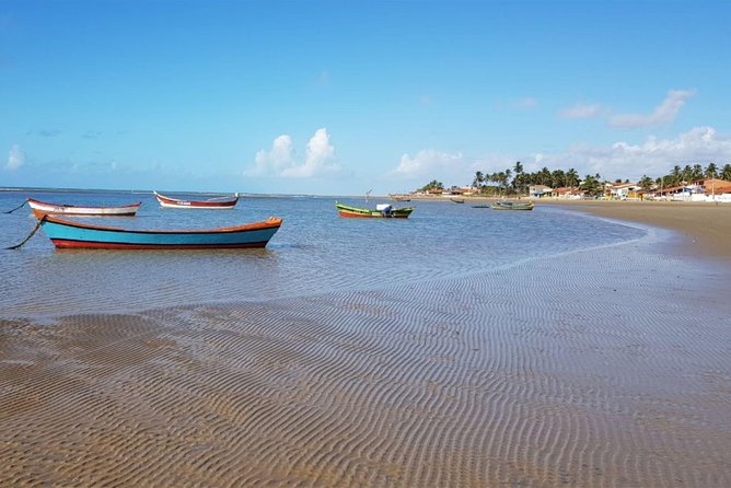 Grumari, Prainha & Pontal Beach Day Tour in Rio de Janeiro with Transfer - Prainha: a small beach ringed by forest
