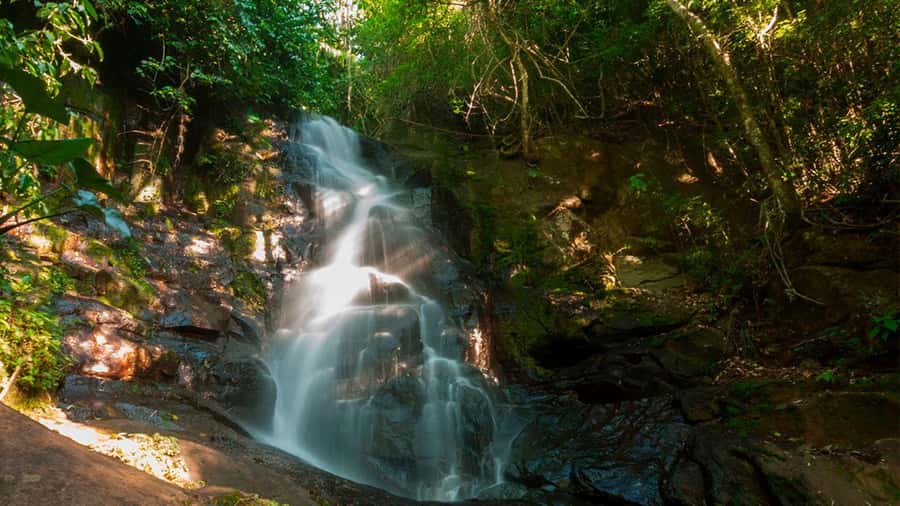 Guided Hike and Kayak or SUP River Tour w/ Transfer - What $90 buys you