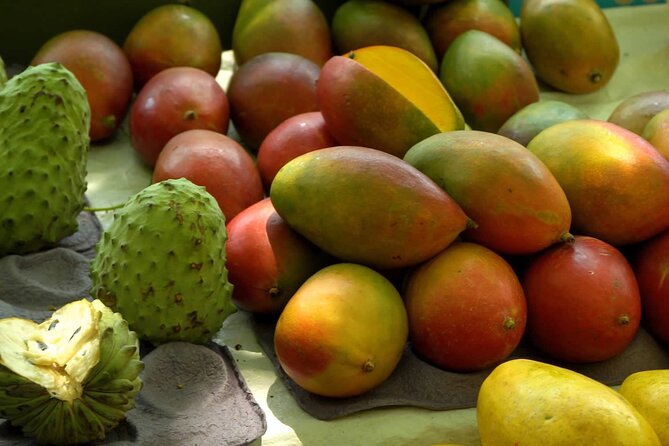 Guided Market Fruit Tasting in Rio with 15+ Exotic Flavors - The pace, timing, and practical side