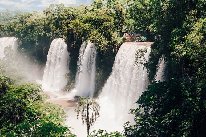 Guided Nature Tour in Argentina Cataratas Circuit + Lunch - What the guide adds to the day