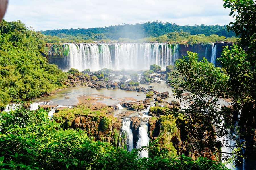 Guided Tour: Brazilian Falls and Bird Park - Should you book the Brazilian Falls and Bird Park tour?
