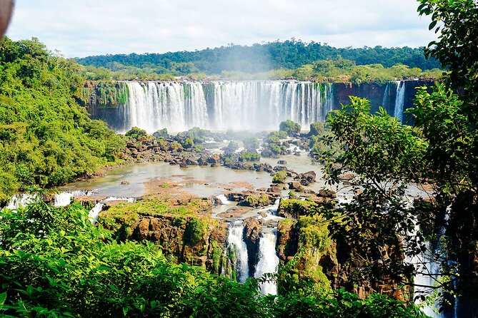 Guided Tour Brazilian Falls and Bird Park Exploration - Who should book this experience?