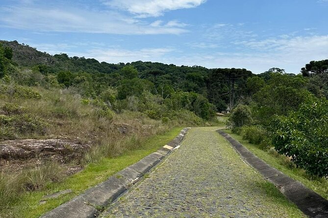 Guided tour to the Canyon of Guartelá - Is $191.56 per person fair value?