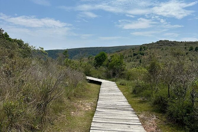 Guided tour to the Canyon of Guartelá - Who will enjoy this outing most?