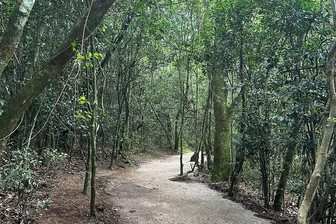 Guided tour to the Canyon of Guartelá - Leaving Curitiba at 7:00 am