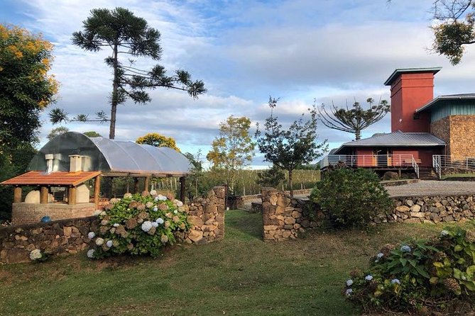 Guided Tour with Wine Tasting at Casa Seganfredo - Gramado - Key points to know before you go