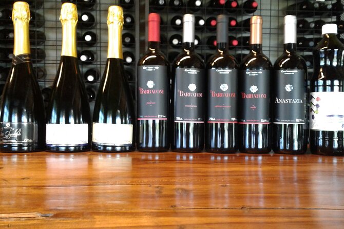 Guided Tour with Wine Tasting at Casa Seganfredo - Gramado - Timing, language, and practical planning
