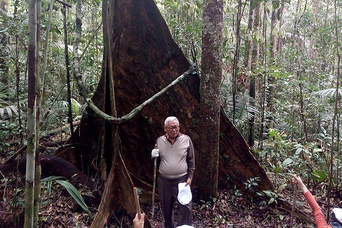 Half Day Tour- Jaguar Jungle Survival - Amazon Rainforest - From Manaus - What the Jaguar Jungle Survival tour is really about