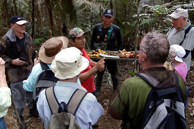 Half Day Tour- Jaguar Jungle Survival - Amazon Rainforest - From Manaus - Guide quality and group size