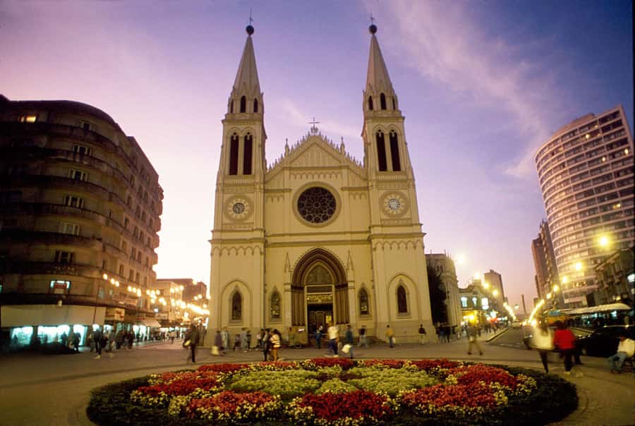 Half-Day Tour of Curitiba City - Bosque do Papa and Curitiba’s immigrant story