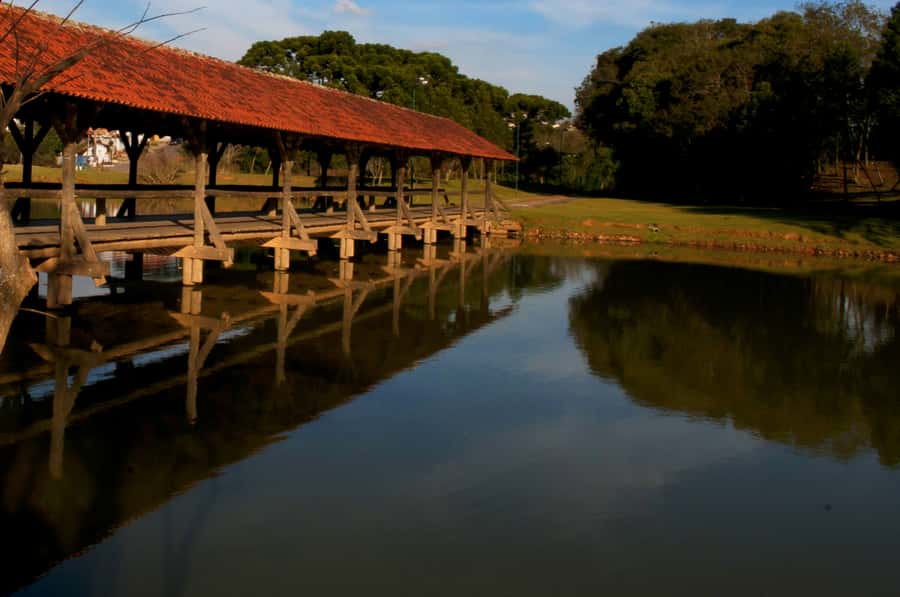 Half-Day Tour of Curitiba City - What the four-hour format really gives you
