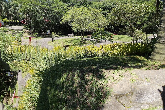 Half day walking tour in Leblon - Two hours above Rio at Penhasco Dois Irmãos