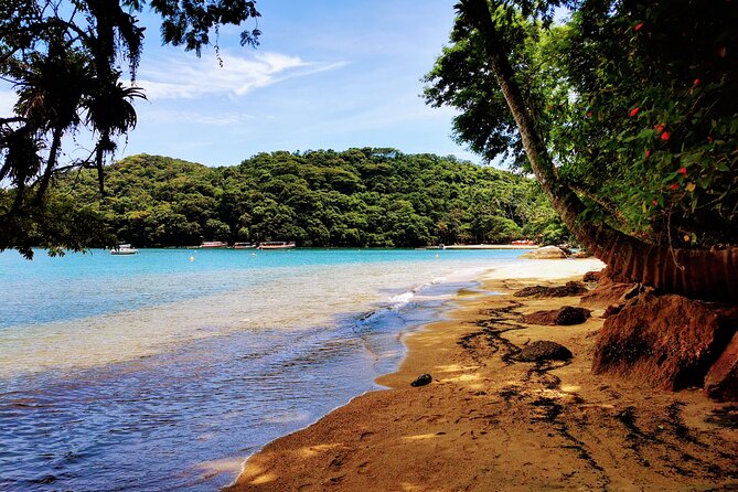 Highlights of Abraão Cove on a Half Day Hike in Ilha Grande - Abraãozinho Beach, the best water stop