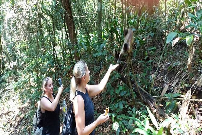 Hiking Ecotour Jaraguá Park – Incredible Rain Forest Landscapes In São Paulo - Reaching Pico do Jaraguá at 1,135 meters