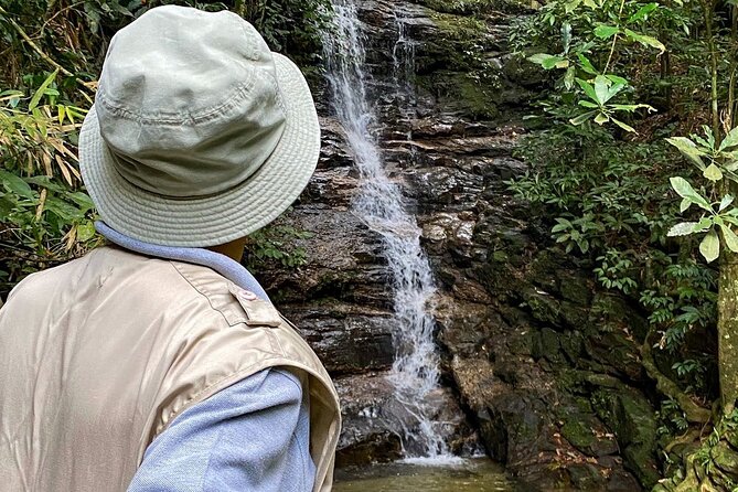 Hiking in the Tijuca Forest : Waterfalls and Caves - Taunay Waterfall is the tour’s natural centerpiece