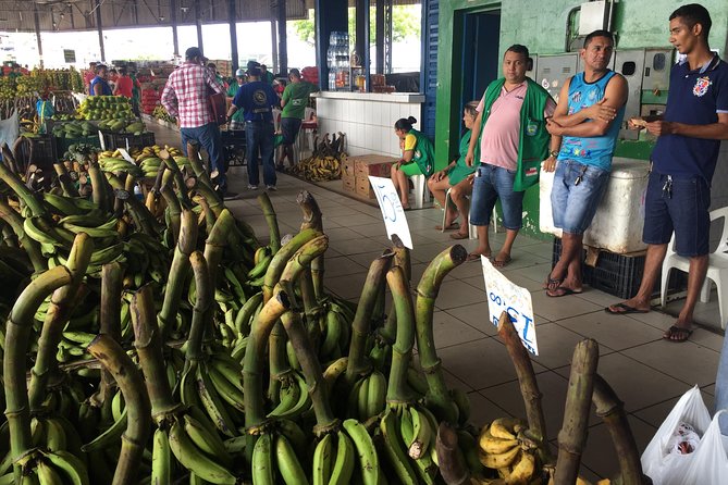 Historical City Tour - Teatro Amazonas: Manaus’s grand rubber-boom symbol