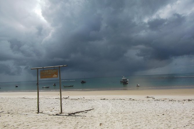 Horse back riding and Eco tourism food and fun. - Riding along one of Porto Seguro’s beaches