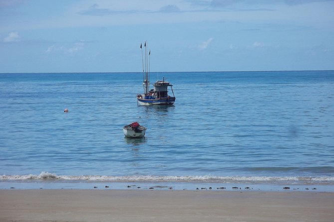 Horse back riding and Eco tourism food and fun. - From beach to rainforest wildlife