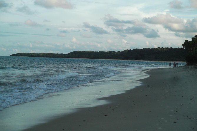Horse back riding and Eco tourism food and fun. - Starting in Trancoso with hotel pickup